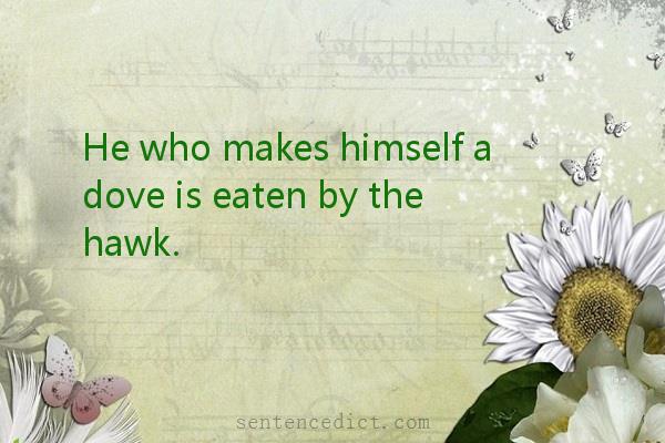 Good sentence's beautiful picture_He who makes himself a dove is eaten by the hawk.