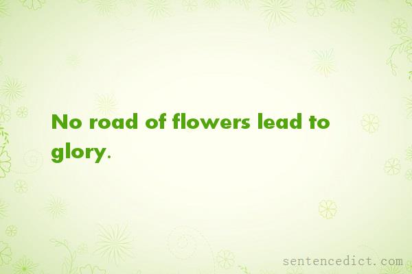 Good sentence's beautiful picture_No road of flowers lead to glory.