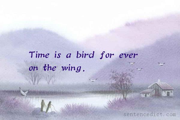 Good sentence's beautiful picture_Time is a bird for ever on the wing.