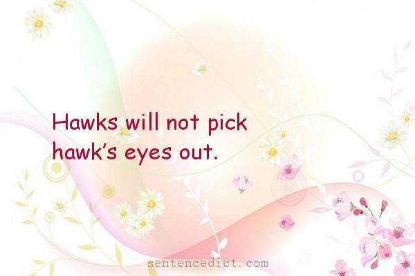Good sentence's beautiful picture_Hawks will not pick hawk’s eyes out.