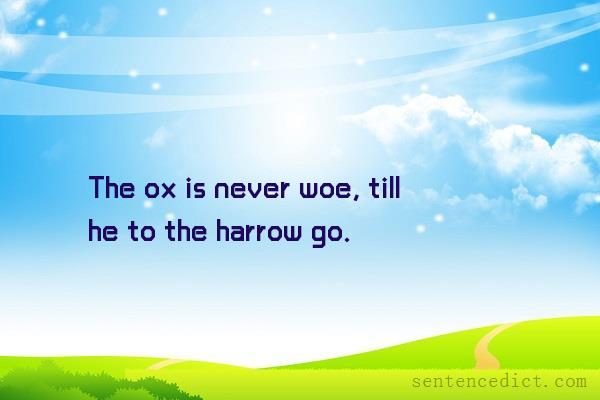 Good sentence's beautiful picture_The ox is never woe, till he to the harrow go.