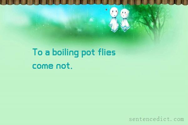 Good sentence's beautiful picture_To a boiling pot flies come not.