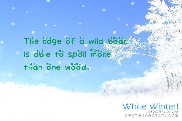 Good sentence's beautiful picture_The rage of a wild boar is able to spoil more than one wood.