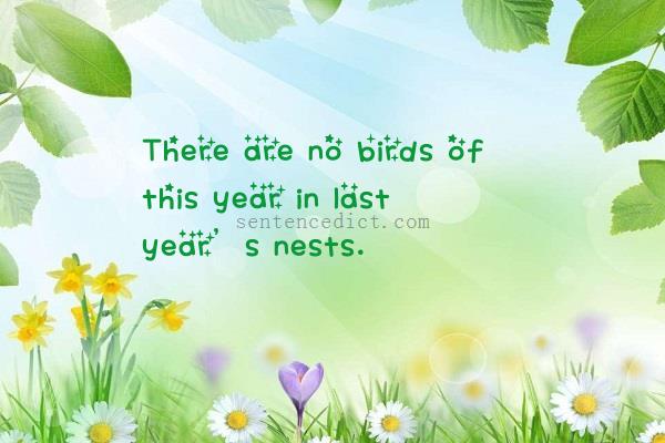 Good sentence's beautiful picture_There are no birds of this year in last year’s nests.