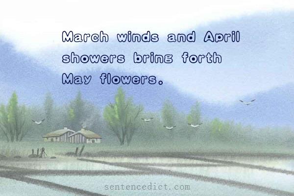 Good sentence's beautiful picture_March winds and April showers bring forth May flowers.