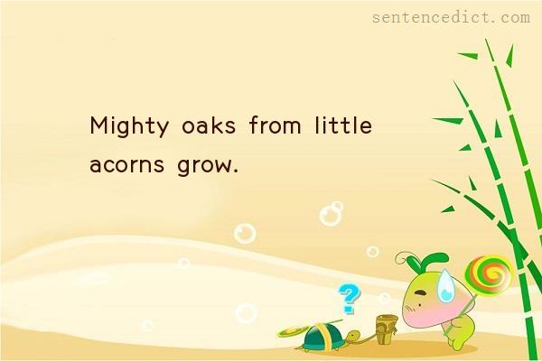 Good sentence's beautiful picture_Mighty oaks from little acorns grow.