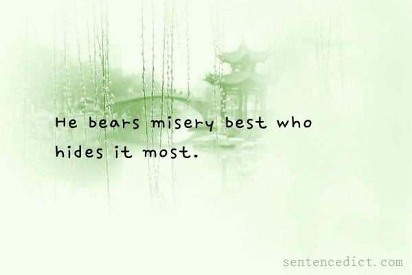 Good sentence's beautiful picture_He bears misery best who hides it most.