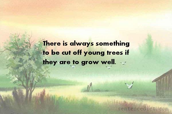 Good sentence's beautiful picture_There is always something to be cut off young trees if they are to grow well.