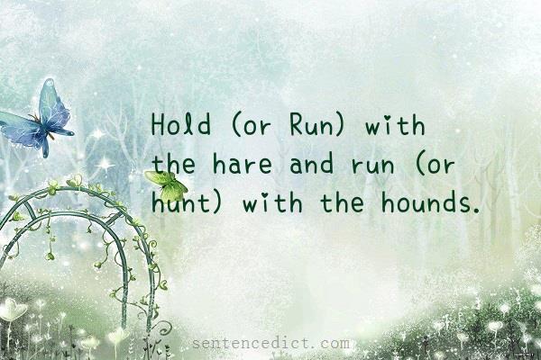 Good sentence's beautiful picture_Hold (or Run) with the hare and run (or hunt) with the hounds.