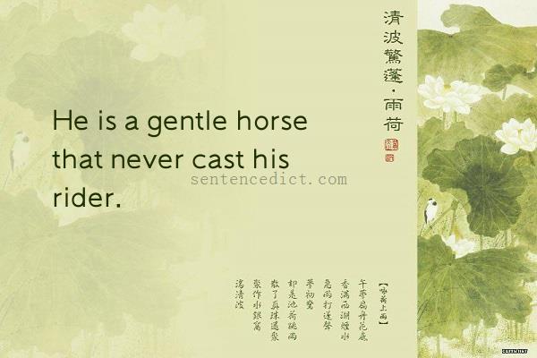 Good sentence's beautiful picture_He is a gentle horse that never cast his rider.