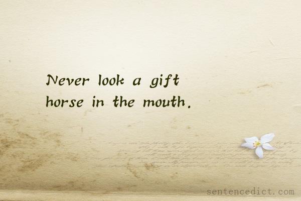 Good sentence's beautiful picture_Never look a gift horse in the mouth.
