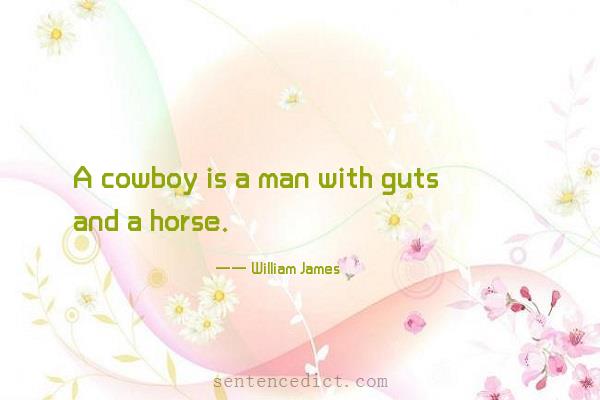 Good sentence's beautiful picture_A cowboy is a man with guts and a horse.