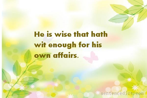 Good sentence's beautiful picture_He is wise that hath wit enough for his own affairs.