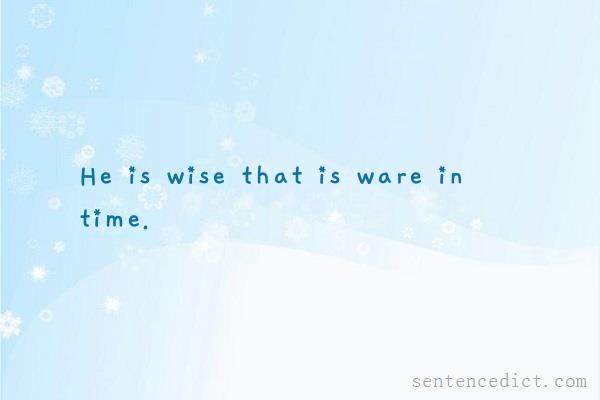 Good sentence's beautiful picture_He is wise that is ware in time.