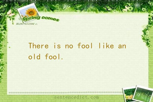 Good Sentence Appreciation There Is No Fool Like An Old Fool 