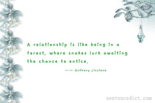 Good sentence's beautiful picture_A relationship is like being in a forest, where snakes lurk awaiting the chance to entice.