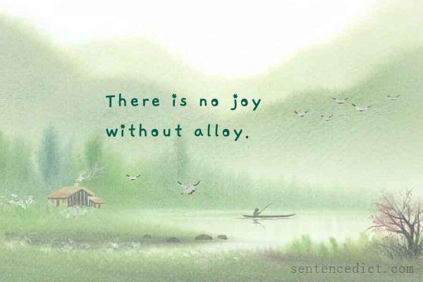 Good sentence's beautiful picture_There is no joy without alloy.