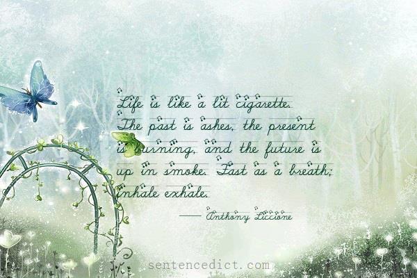 Good sentence's beautiful picture_Life is like a lit cigarette. The past is ashes, the present is burning, and the future is up in smoke. Fast as a breath; inhale exhale.