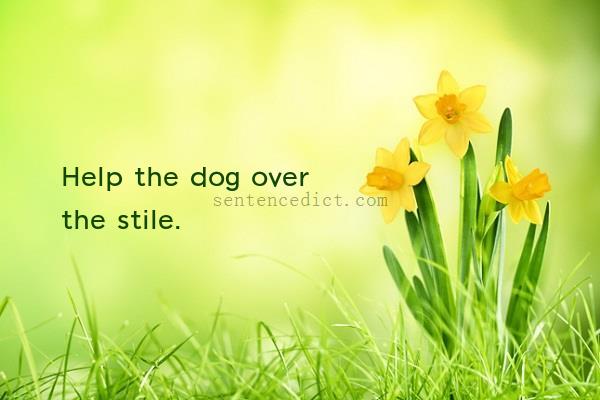 Good sentence's beautiful picture_Help the dog over the stile.