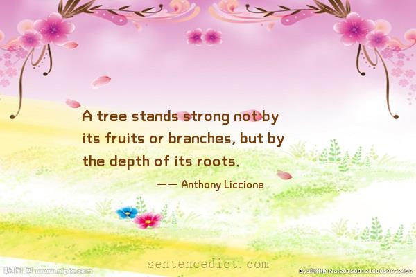 Good sentence's beautiful picture_A tree stands strong not by its fruits or branches, but by the depth of its roots.