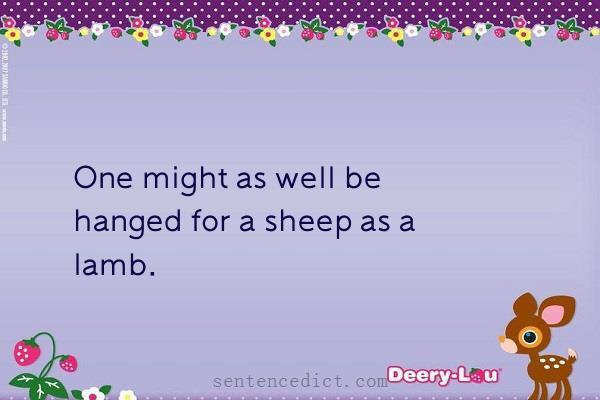 Good sentence's beautiful picture_One might as well be hanged for a sheep as a lamb.