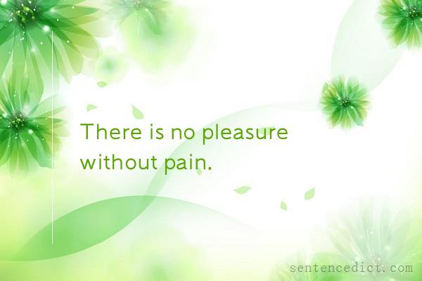 Good sentence's beautiful picture_There is no pleasure without pain.