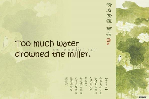 Good sentence's beautiful picture_Too much water drowned the miller.