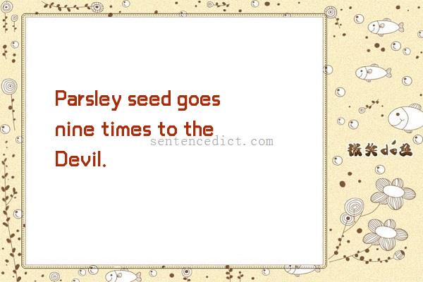 Good sentence's beautiful picture_Parsley seed goes nine times to the Devil.