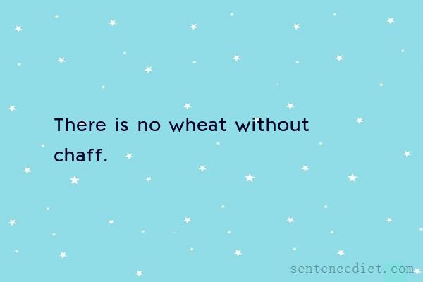 Good sentence's beautiful picture_There is no wheat without chaff.