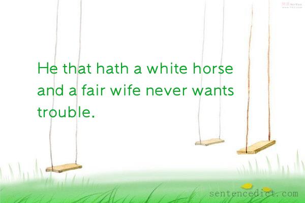 Good sentence's beautiful picture_He that hath a white horse and a fair wife never wants trouble.