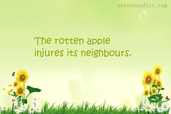 Good sentence's beautiful picture_The rotten apple injures its neighbours.