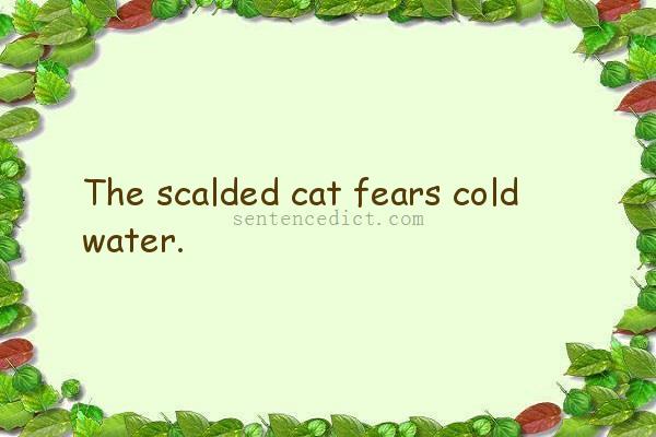 Good sentence's beautiful picture_The scalded cat fears cold water.