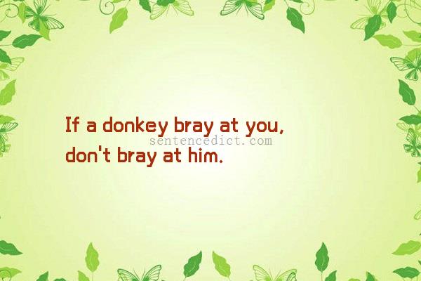 Good sentence's beautiful picture_If a donkey bray at you, don't bray at him.