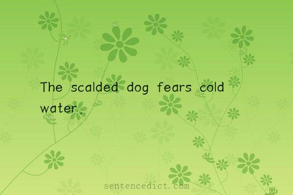 Good sentence's beautiful picture_The scalded dog fears cold water.