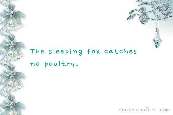 Good sentence's beautiful picture_The sleeping fox catches no poultry.
