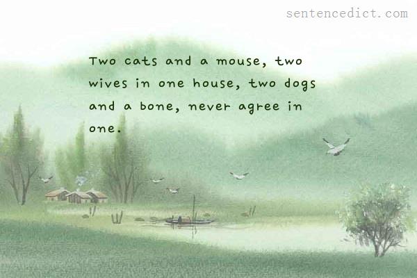 Good sentence's beautiful picture_Two cats and a mouse, two wives in one house, two dogs and a bone, never agree in one.