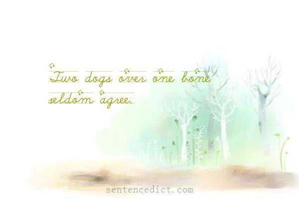 Good sentence's beautiful picture_Two dogs over one bone seldom agree.