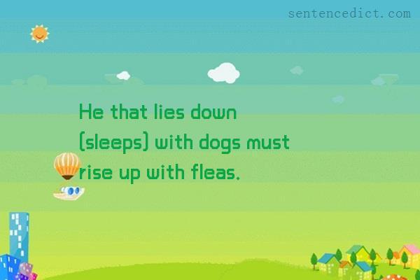 Good sentence's beautiful picture_He that lies down [sleeps] with dogs must rise up with fleas.