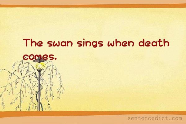 Good sentence's beautiful picture_The swan sings when death comes.