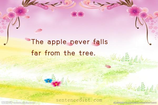 Good sentence's beautiful picture_The apple never falls far from the tree.