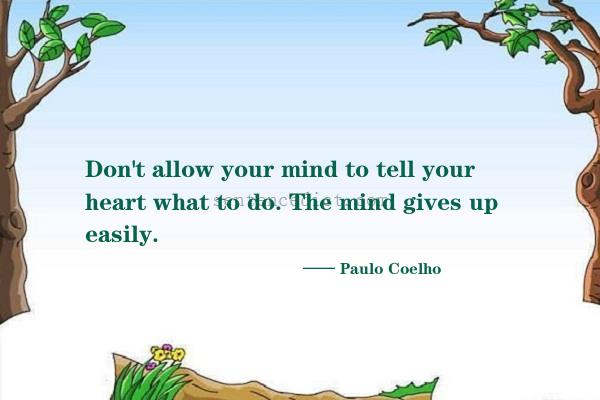 Good sentence's beautiful picture_Don't allow your mind to tell your heart what to do. The mind gives up easily.