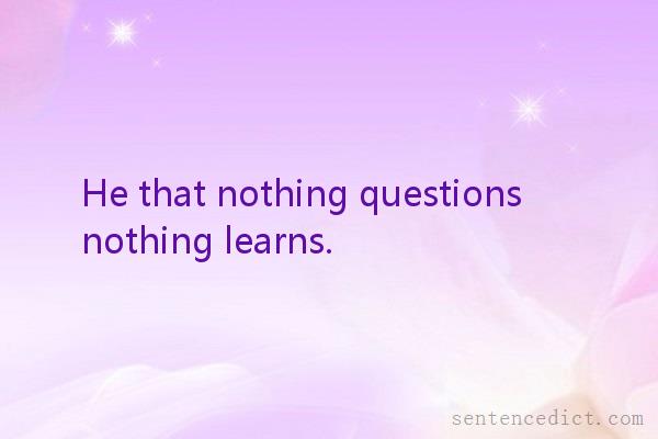 Good sentence's beautiful picture_He that nothing questions nothing learns.