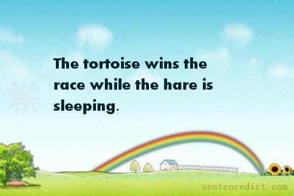 Good sentence's beautiful picture_The tortoise wins the race while the hare is sleeping.