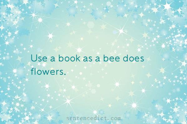 Good sentence's beautiful picture_Use a book as a bee does flowers.