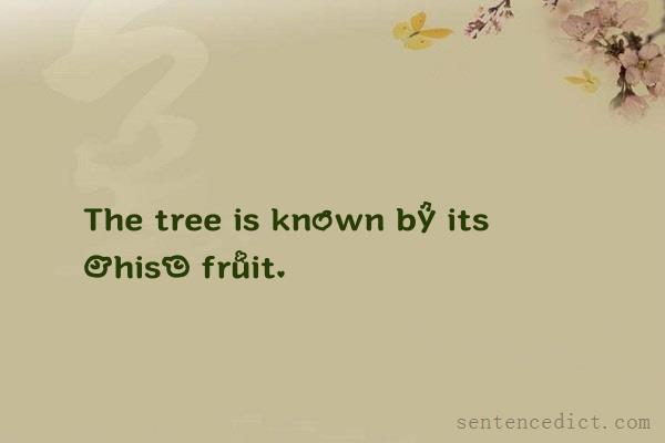 Good sentence's beautiful picture_The tree is known by its [his] fruit.