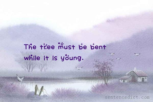 Good sentence's beautiful picture_The tree must be bent while it is young.