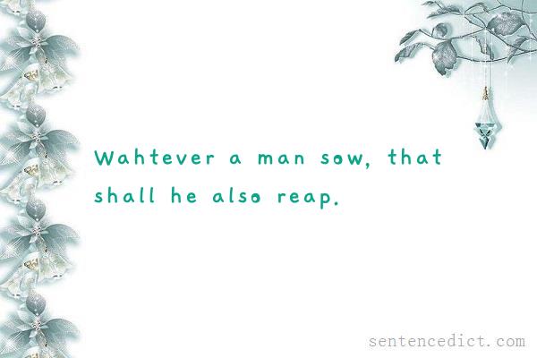 Good sentence's beautiful picture_Wahtever a man sow, that shall he also reap.
