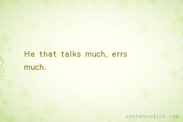 Good sentence's beautiful picture_He that talks much, errs much.
