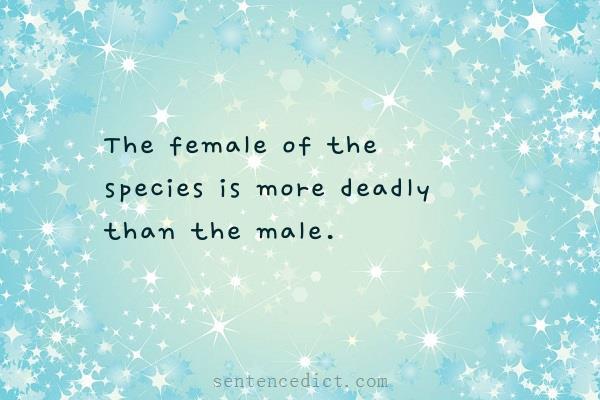 Good sentence's beautiful picture_The female of the species is more deadly than the male.