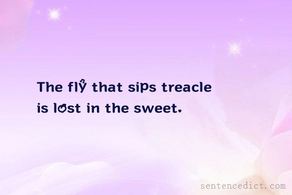 Good sentence's beautiful picture_The fly that sips treacle is lost in the sweet.